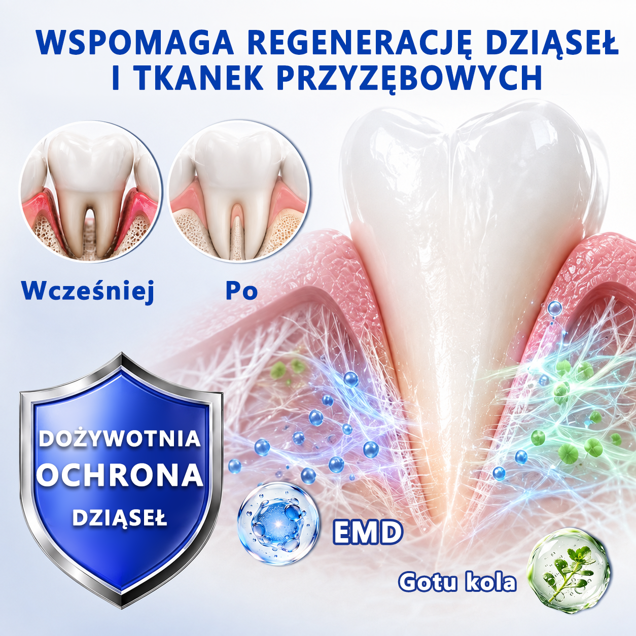 Przełomowe rozwiązanie do regeneracji jamy ustnej 🇵🇱🏅🦷 PureShade® GumRevive Żel do regeneracji przyzębia ⚡